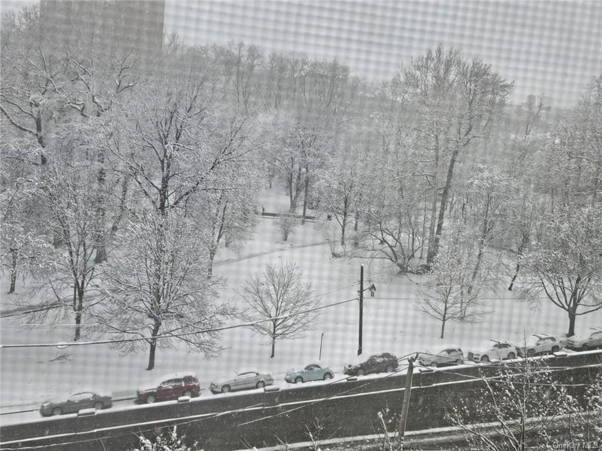 Photo for 3125 Tibbett Avenue - 3125 Tibbett Avenue Cooperative in West Bronx, Bronx