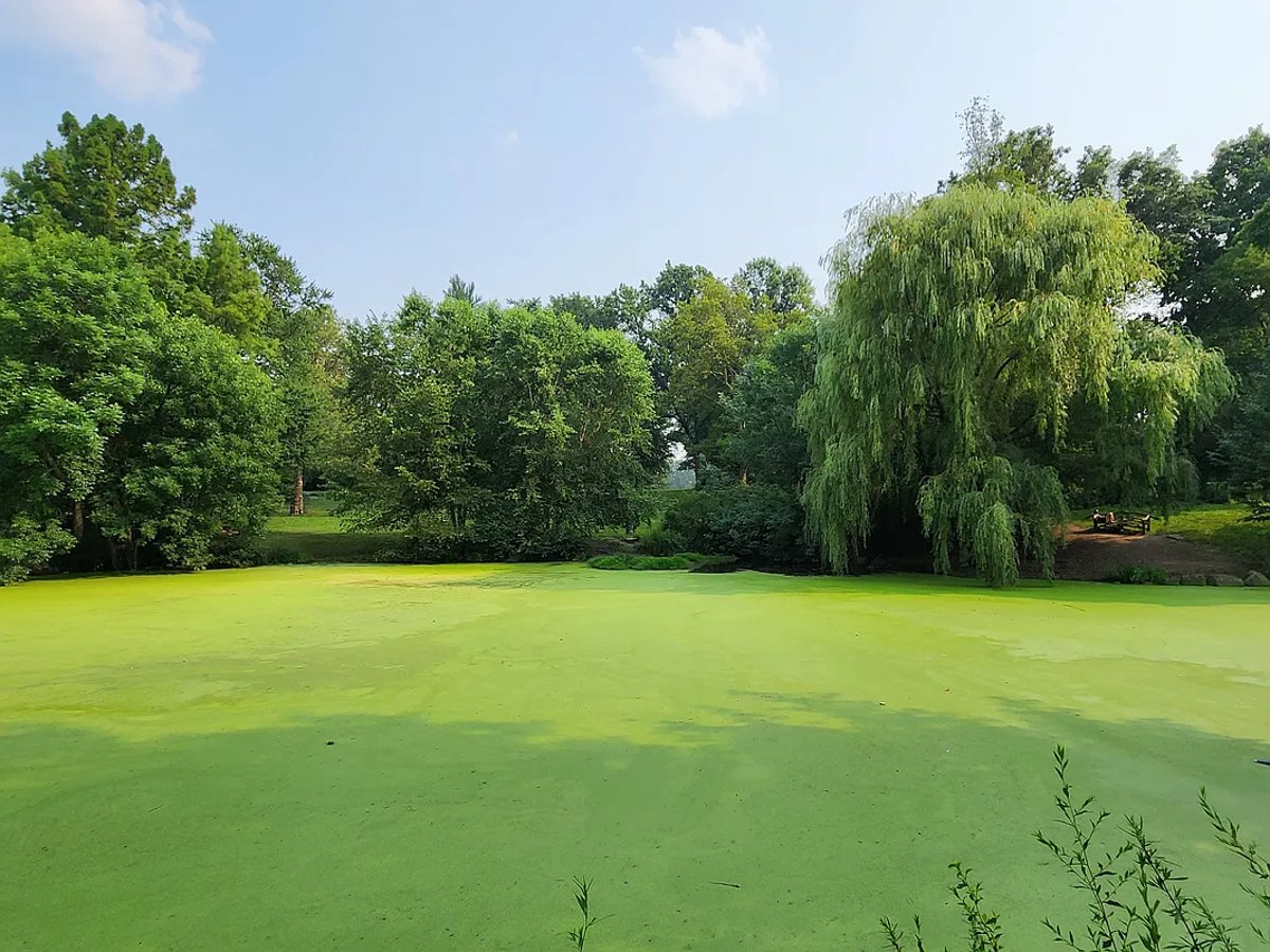 Photo for 200 West 58th Street - 200 West 58th Street Rental Building in Midtown, Manhattan