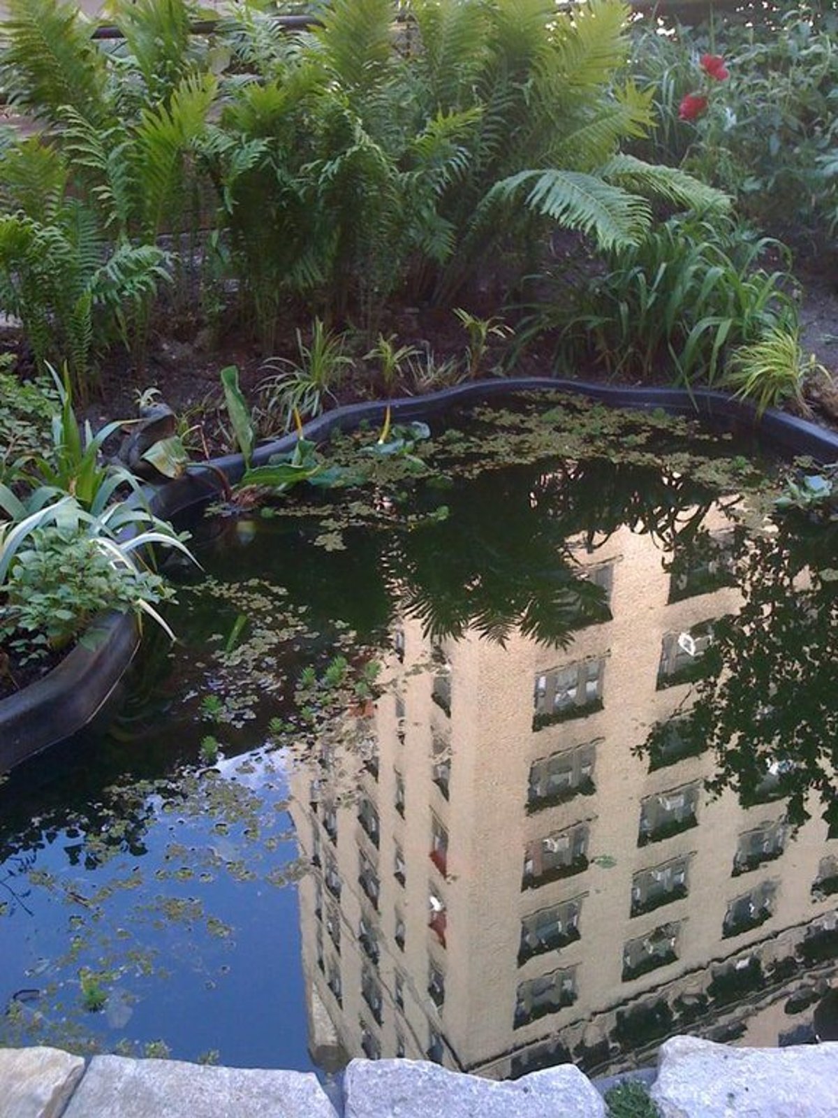 Photo for The Sabrina - 240 West 98th Street Condominium in Upper West Side, Manhattan