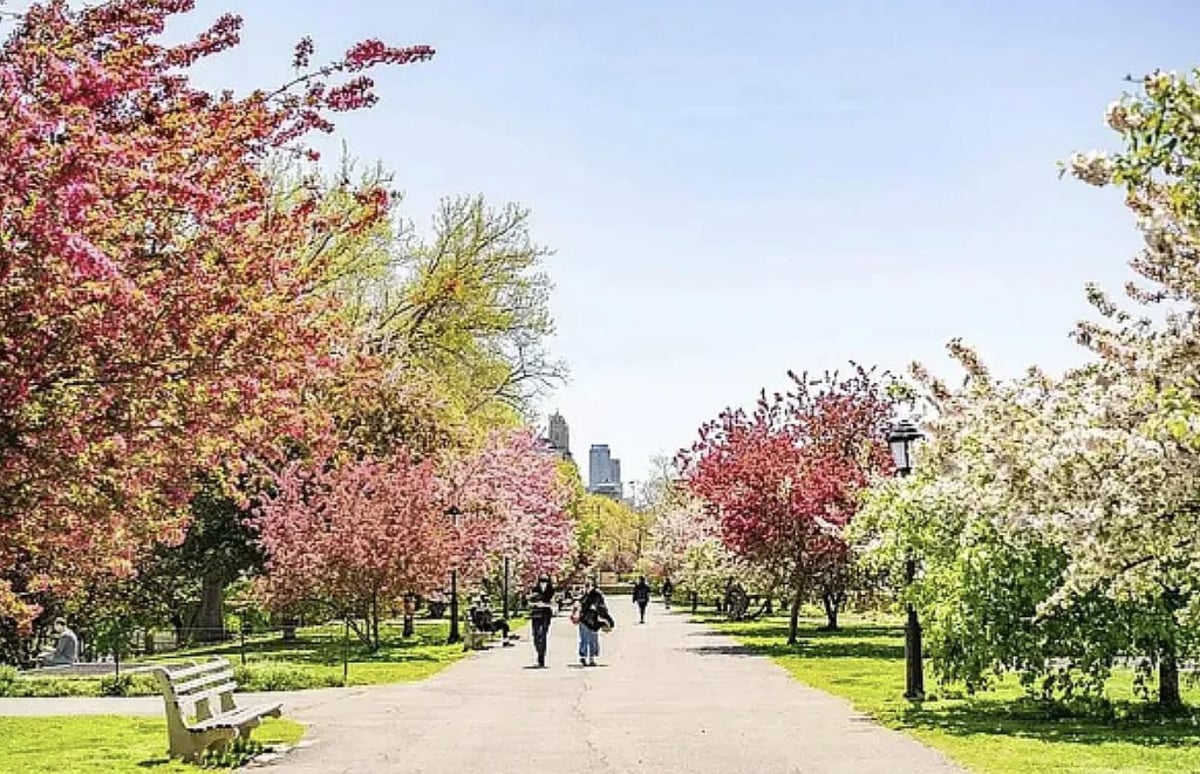 Photo for The Sabrina - 240 West 98th Street Condominium in Upper West Side, Manhattan