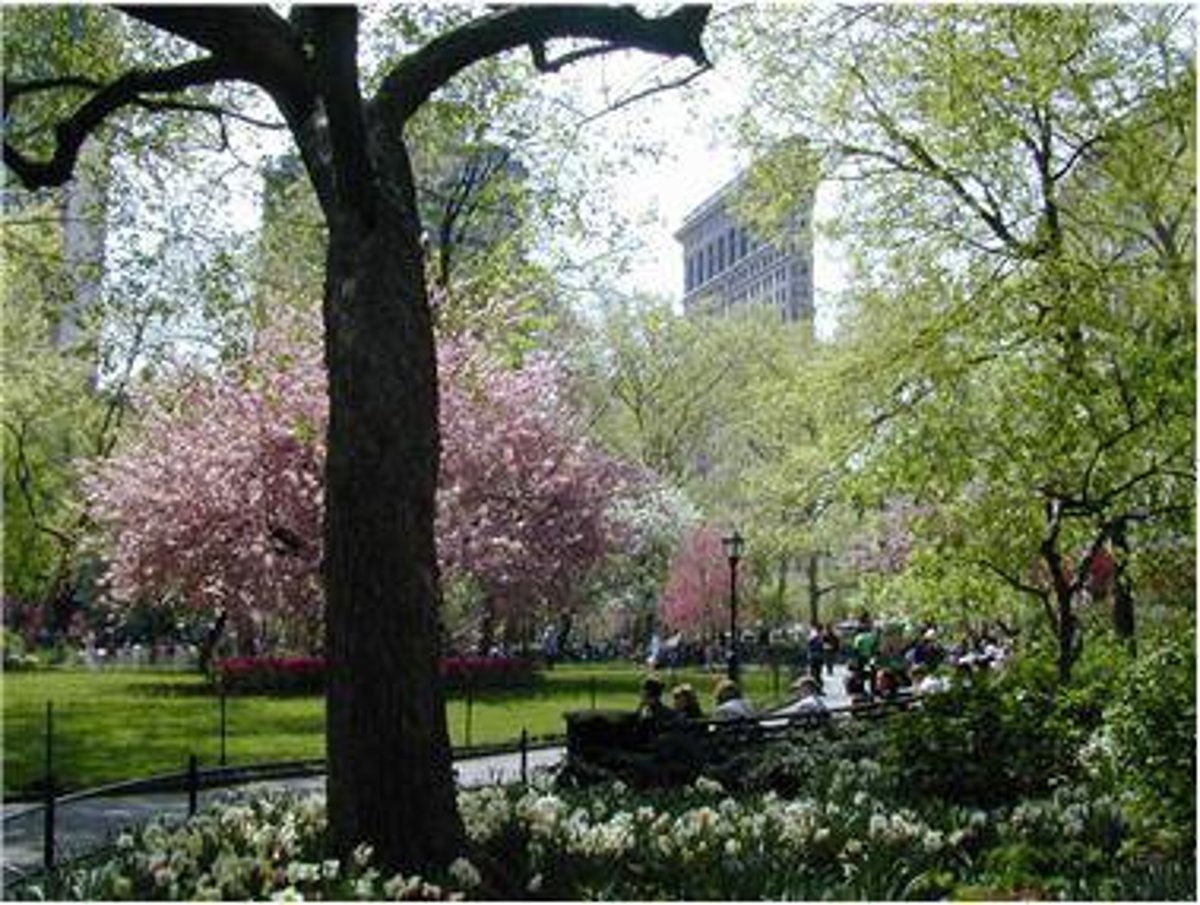 Photo for The Grand Madison - 225 Fifth Avenue Condominium in NoMad, Manhattan