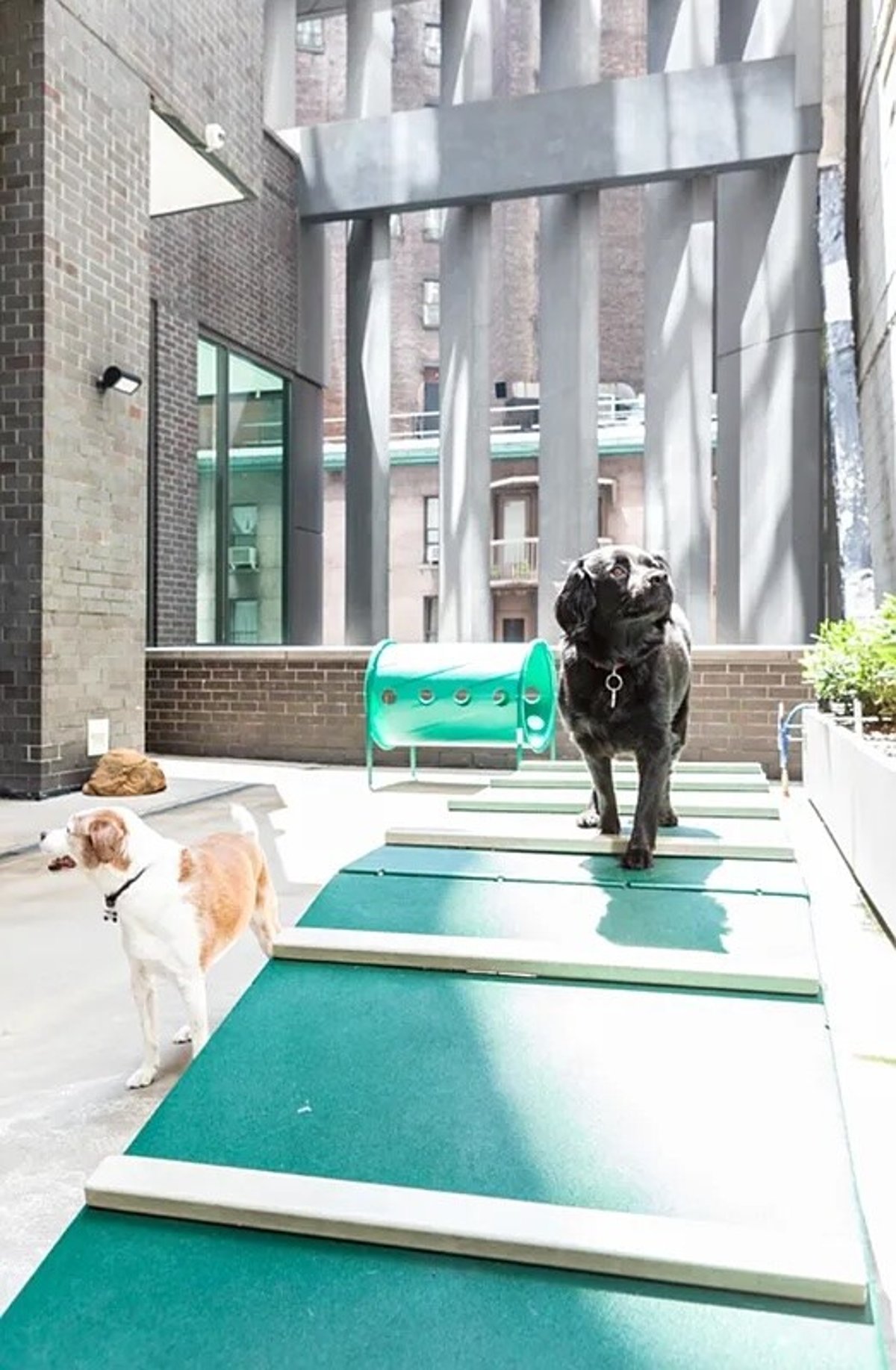 Photo for William Beaver House - 15 William Street Condominium in Financial District, Manhattan