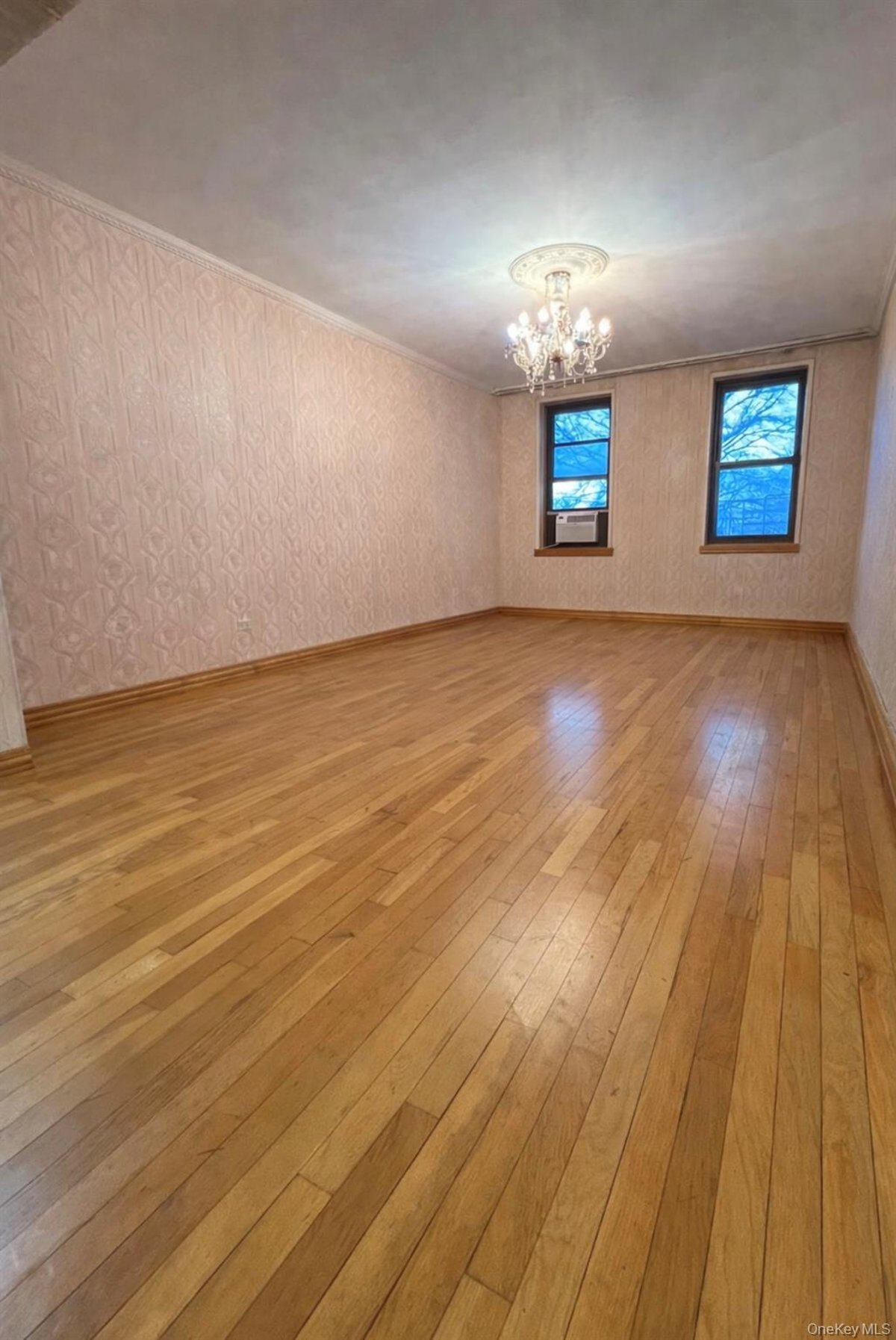 Photo for 84-01 Main Street - 84-01 Main Street Cooperative in Briarwood, Queens