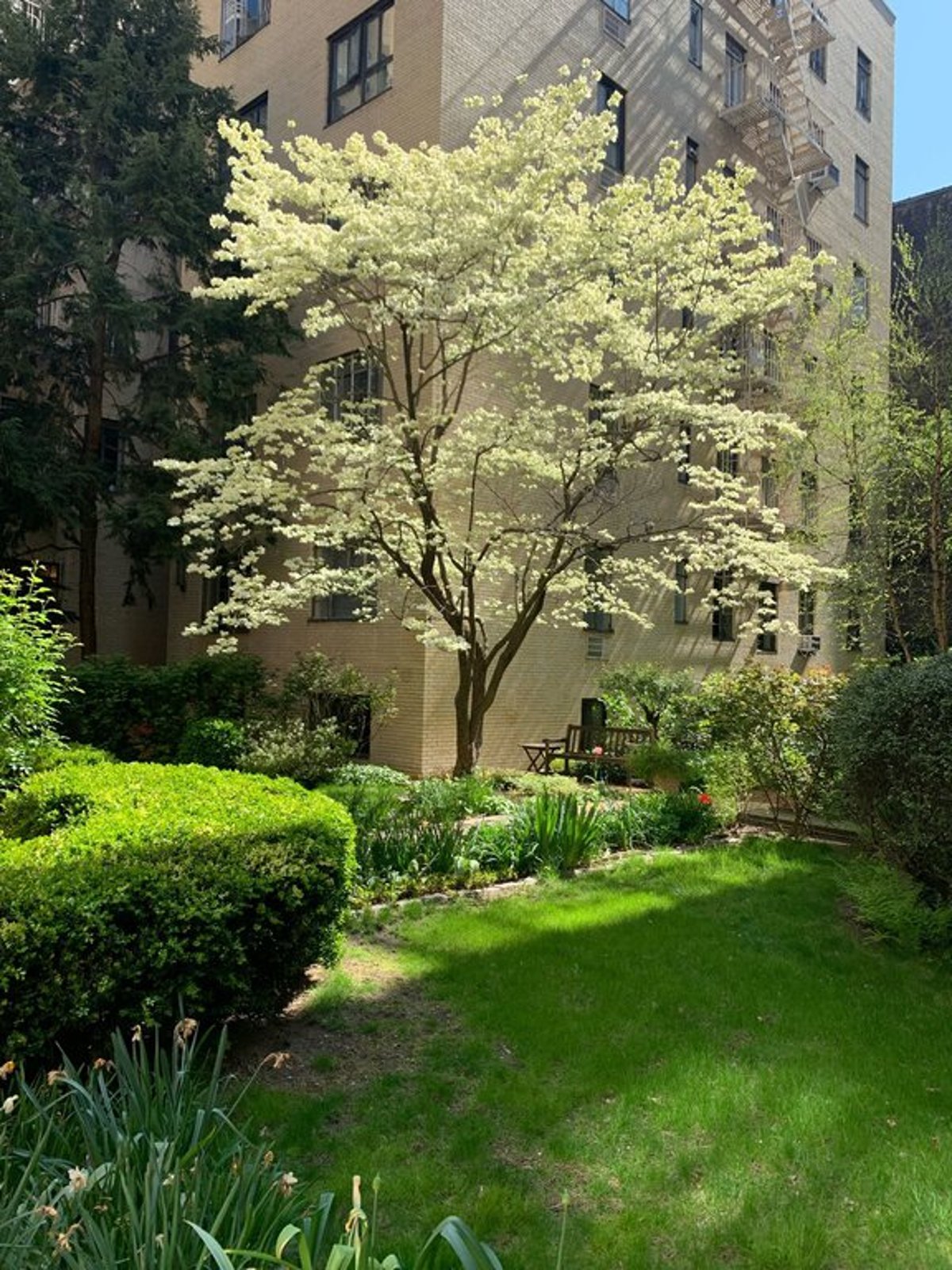 Photo for Chelsea Gardens - 250 West 24th Street & 255 West 23rd Street Cooperative in Chelsea, Manhattan