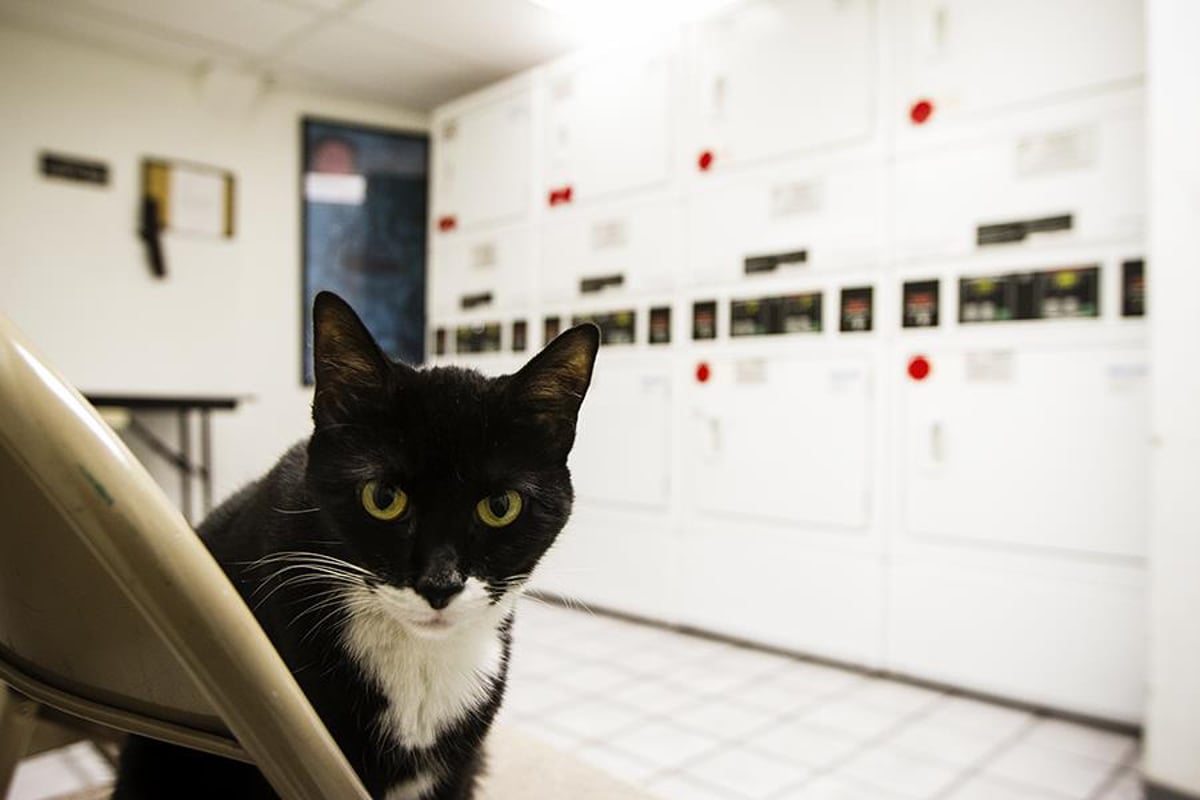 Photo for The Sage House - 4 Lexington Avenue Cooperative in Gramercy Park, Manhattan