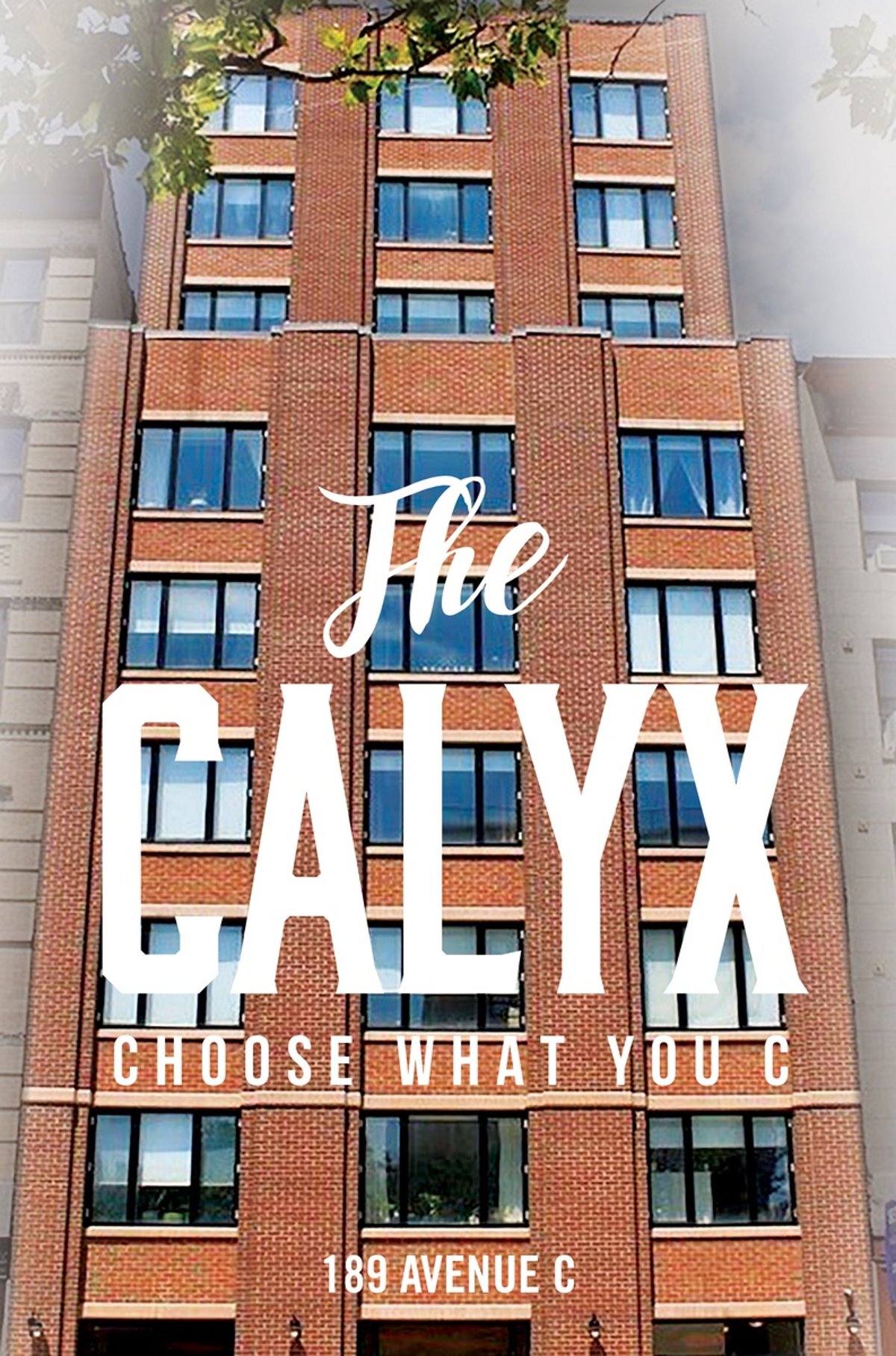 Photo for The Calyx - 189th Avenue C Condominium in East Village, Manhattan