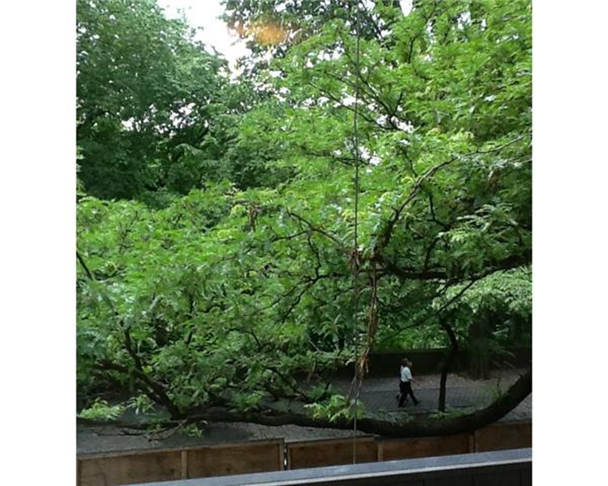 Photo for 923 5 AVENUE - 923 5th Avenue Condominium in Upper East Side, Manhattan