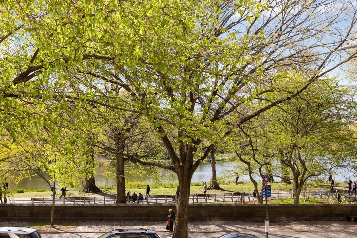 Photo for 1255 5th AVENUE - 1255 5th Avenue Condominium in Harlem, Manhattan