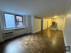 Image for East 79th Street