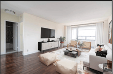 Image for Queens Boulevard