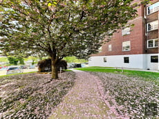 Image for Pelham Road