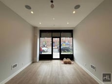 Image for LOTT AVENUE