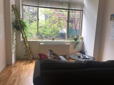 Image for Lexington Avenue