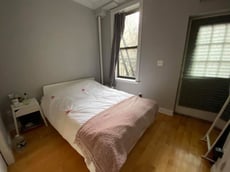 Image for Mott Street