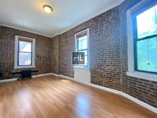 Image for PINEAPPLE STREET