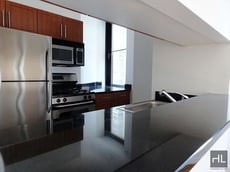Image for MAIDEN LANE