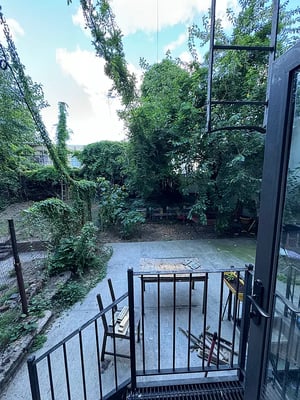 Photo for Noll Street