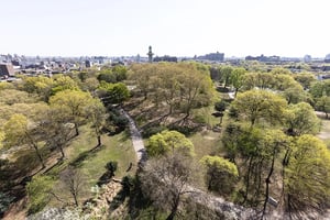 Photo for Willoughby Street