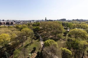 Photo for Willoughby Street