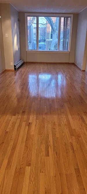 Photo for Clara Street