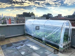 Photo for Dekalb Avenue