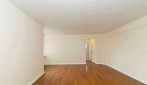 Photo for Netherland Avenue