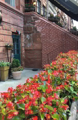 Photo for Lenox Avenue