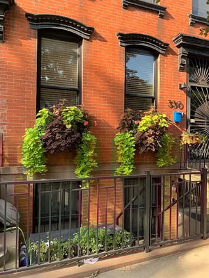 Photo for Carroll Street