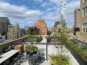 Photo for Murray Street