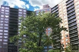 Photo for Queens Boulevard