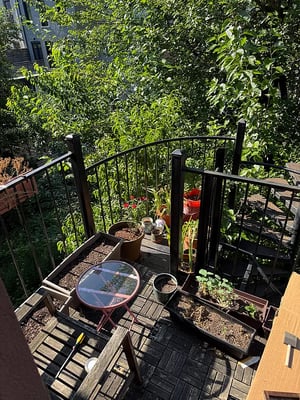 Photo for Hancock Street