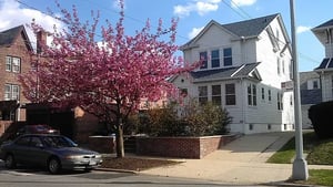 Photo for Kessel Street