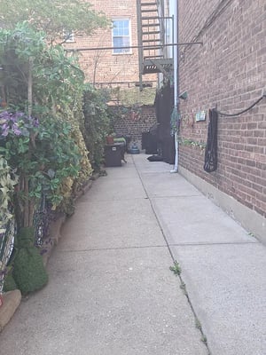 Photo for Mackay Place