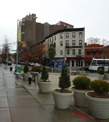 photo of Fort Greene