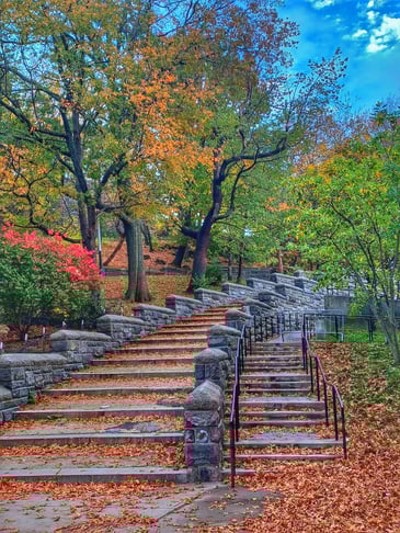 photo of Central Harlem