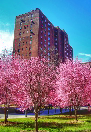 photo of Stuyvesant Town
