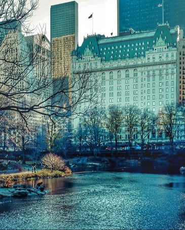 photo of Central Park South