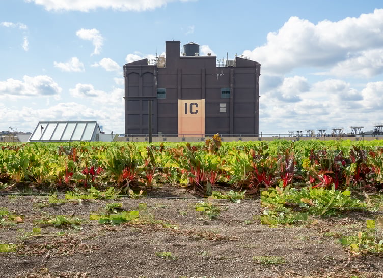 Photo for Sunset Park - NYC