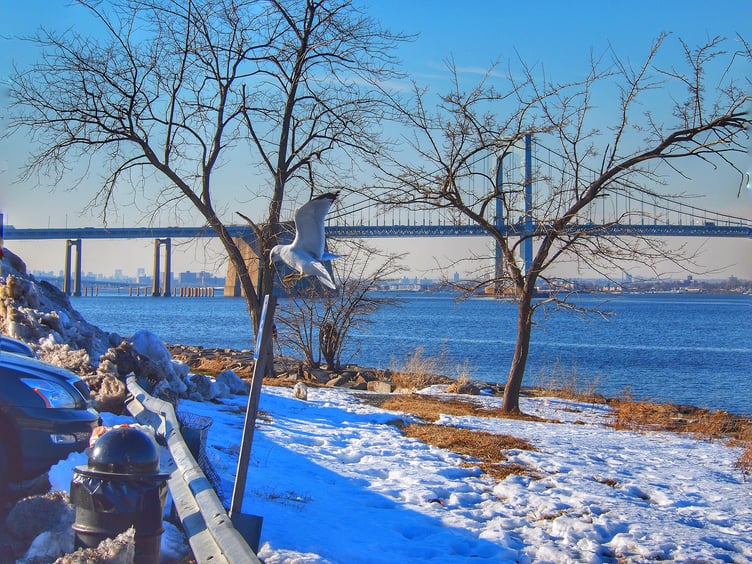 Photo for Bayside - NYC