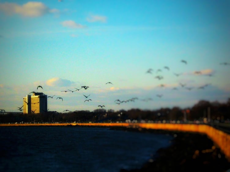 Photo for Bensonhurst - NYC