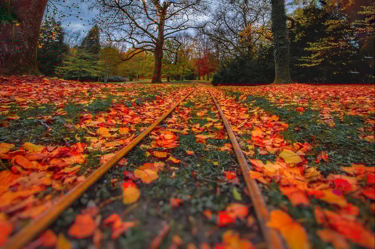 Photo for Bath Beach - NYC