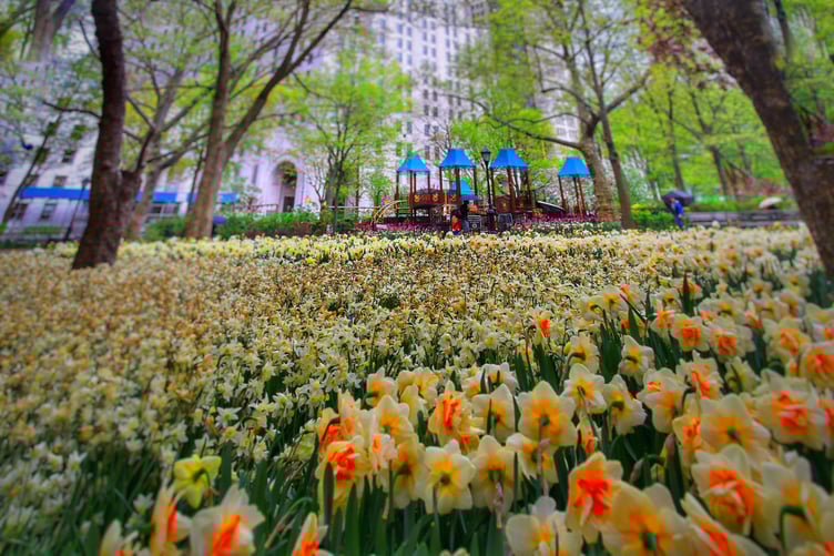 Photo for NoMad - NYC