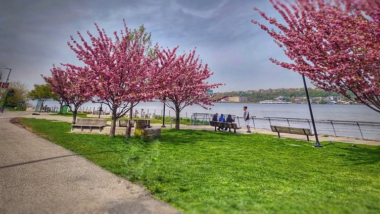 Photo for West Harlem - NYC