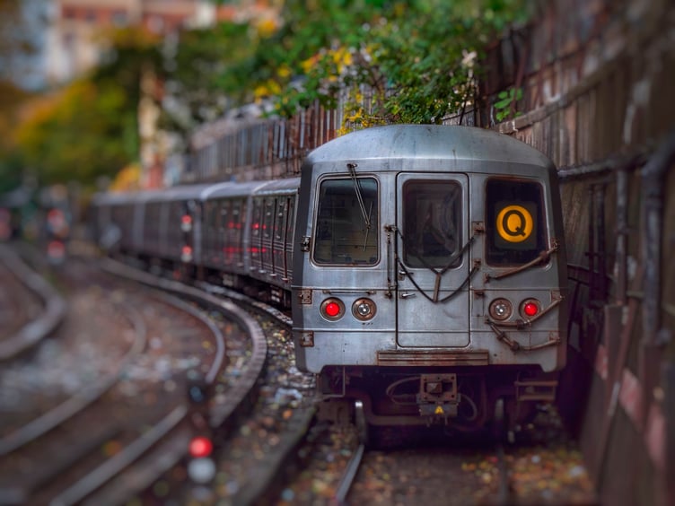 Photo for Prospect Lefferts Gardens - NYC