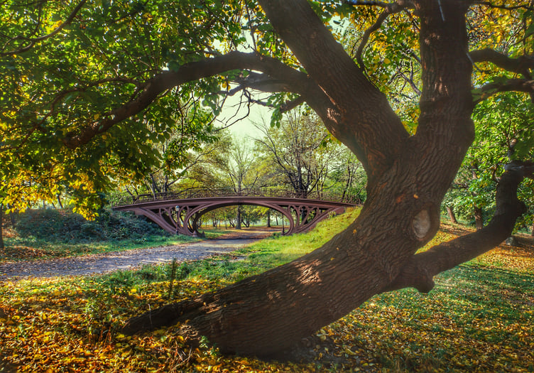 Photo for Upper Manhattan - NYC